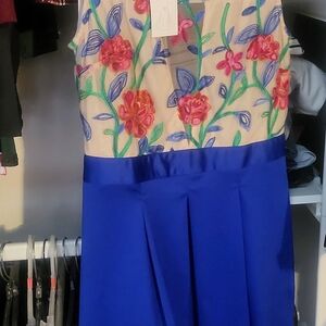 Acevog Cream/Pink/Green Floral Top part, with Blue Pleated bottom Formal Dress